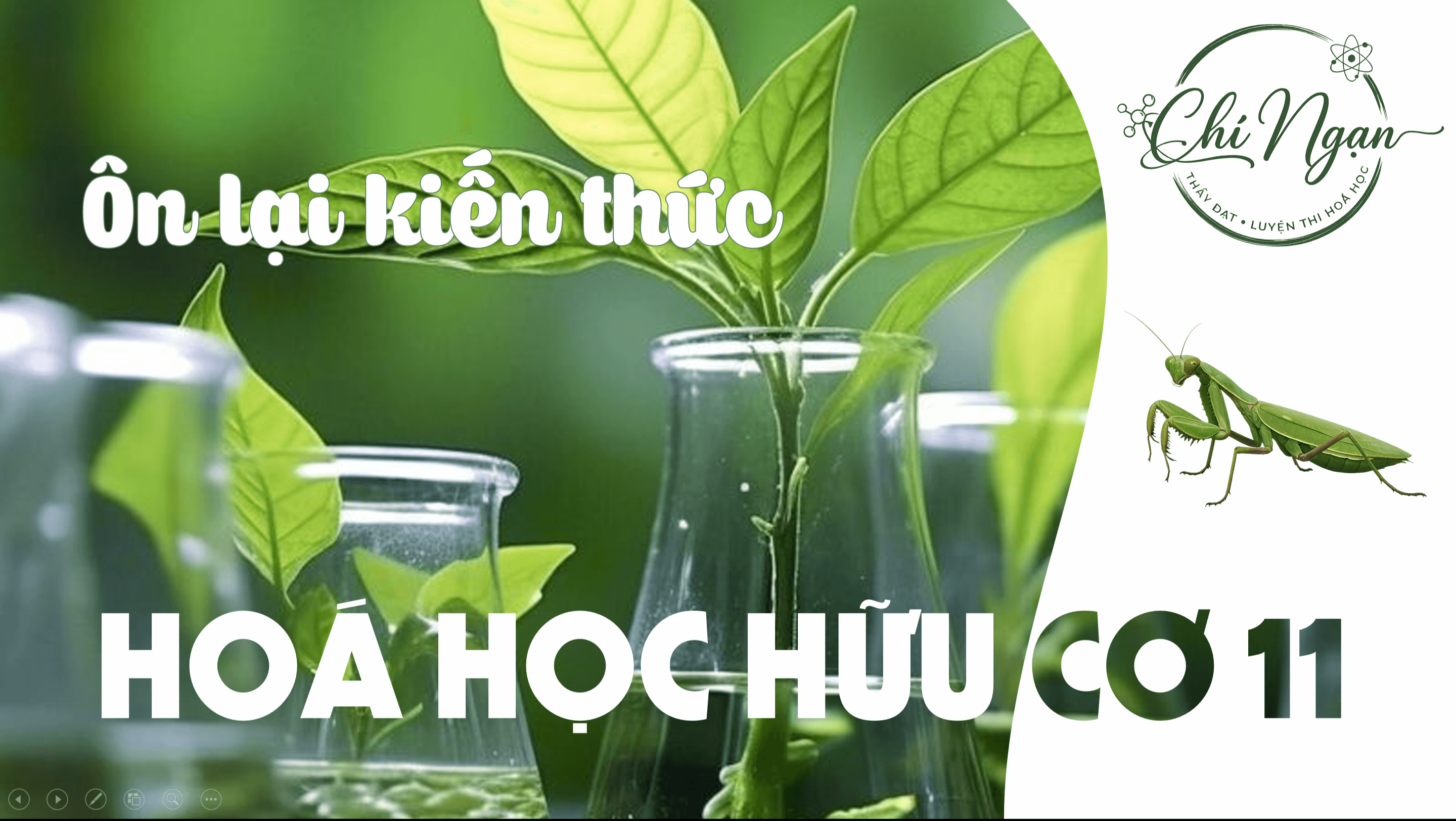 ÔN LẠI HỮU CƠ 11